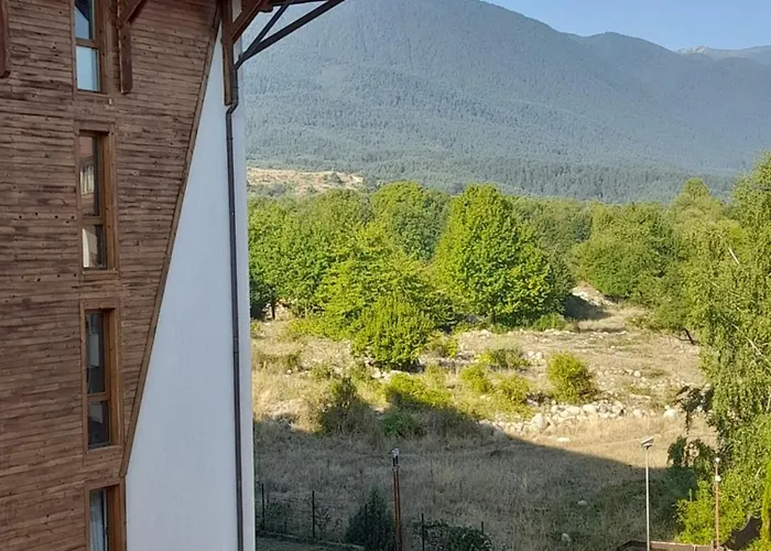 Belvedere B303 * 班斯科